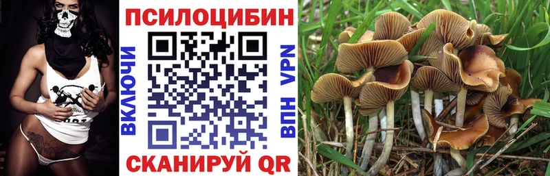 Галлюциногенные грибы мицелий  продажа наркотиков  Сухиничи 